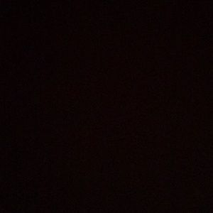 Meet your Posher, Brayden